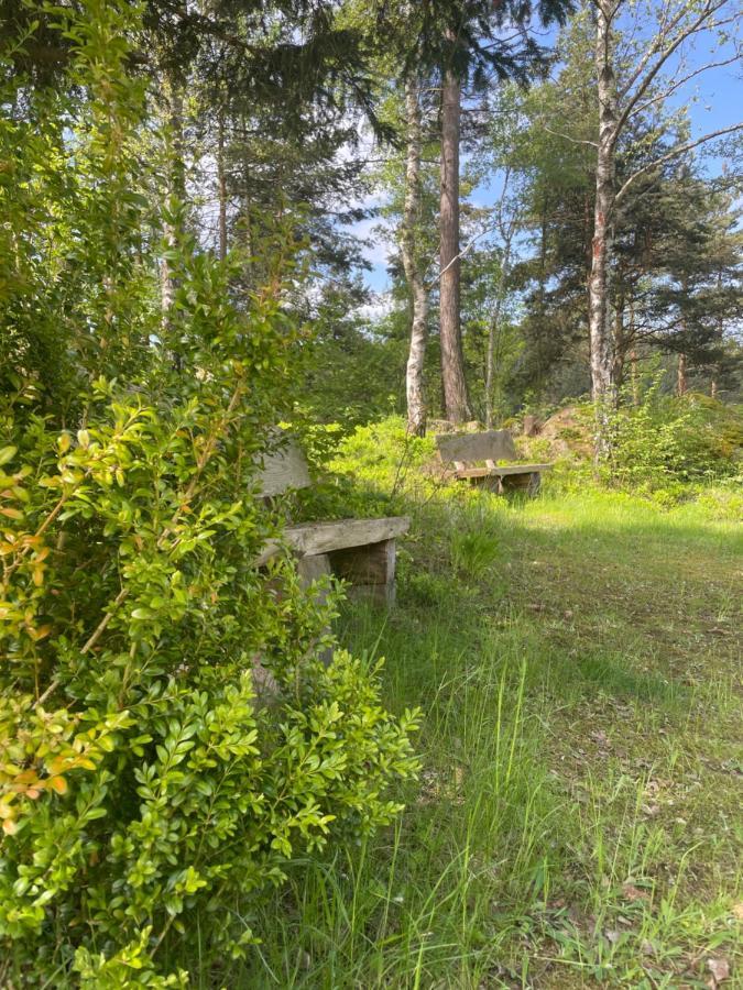 Вилла Haus Am Berg - Waldviertel Arbesbach Экстерьер фото