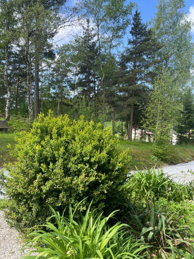 Вилла Haus Am Berg - Waldviertel Arbesbach Экстерьер фото